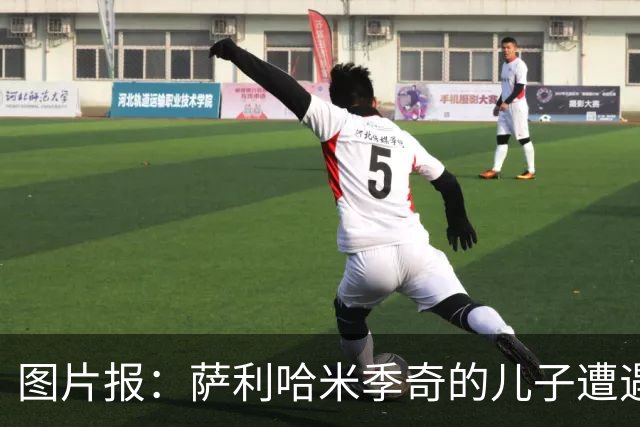 图片报：萨利哈米季奇的儿子遭遇左膝外侧韧带撕裂重伤